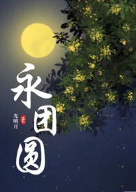 永团圆小说结局
